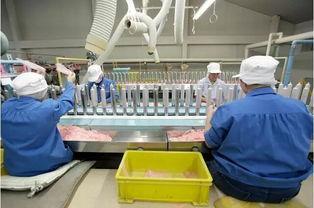 日本避孕套工厂,创新科技与人性关怀的完美融合