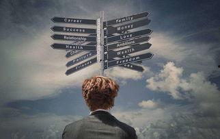 免费观看黎朋前的抉择,揭秘免费观看背后的真相与挑战