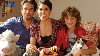 宠物寄语在线观看,温馨瞬间，情感共鸣的治愈之旅