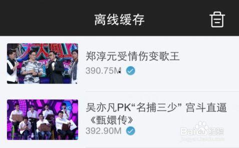 爆料tv怎么下载视频到手机,如何轻松从爆料TV下载视频到手机