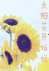 太阳花儿开免费观看,揭秘“太阳花儿开”免费观看之旅