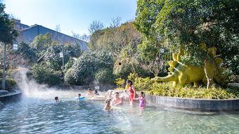 温泉系列无码作品,无码作品中的宁静时光