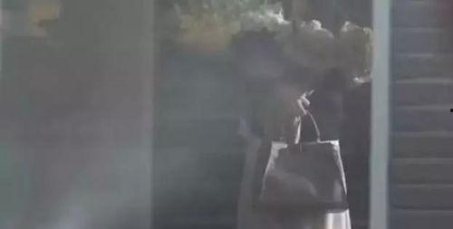 日本伦理50路,探寻东方道德智慧之光