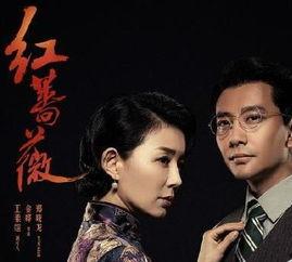 红蔷薇免费观看在哪里,解锁观看秘籍，尽享精彩剧情