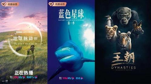 脉动地球在线播放