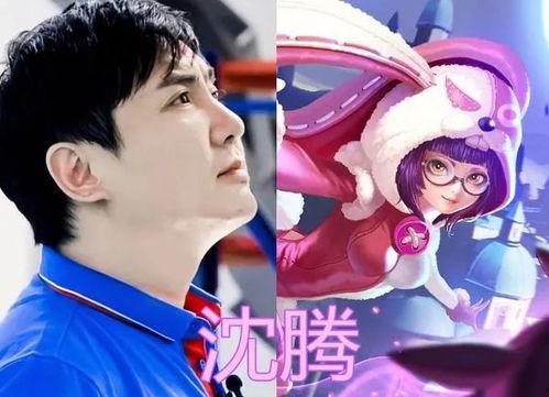 明星都用什么英雄,揭秘明星们钟爱的游戏角色