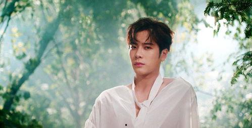 网红王嘉尔最新爆料,网红背后的真实生活与心路历程