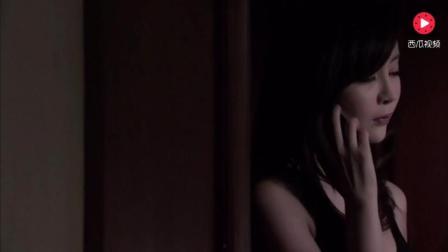 免费在线观看伦理片,免费在线观看伦理片背后的故事