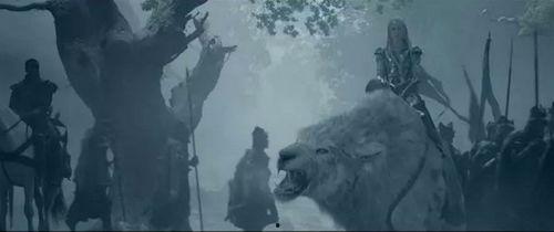 外国av白发,白发生态的演变与影响