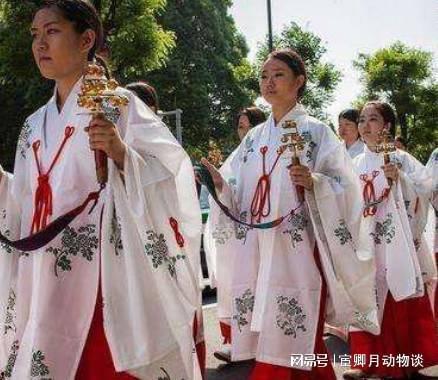 日本对汉族,日本视角下的汉族文化概览