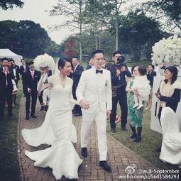 胡杏儿婚礼明星,明星云集共贺幸福时刻