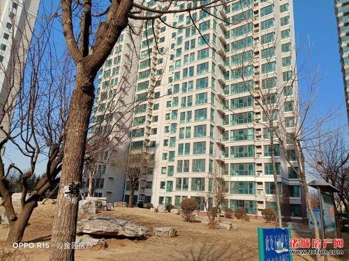 诸城半岛爆料最新消息今天