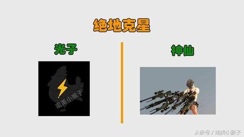 食物链5在线播放,在线观看揭示生态平衡奥秘