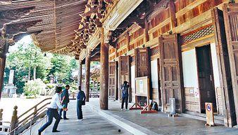 日本波木,日本自然与文化的瑰宝